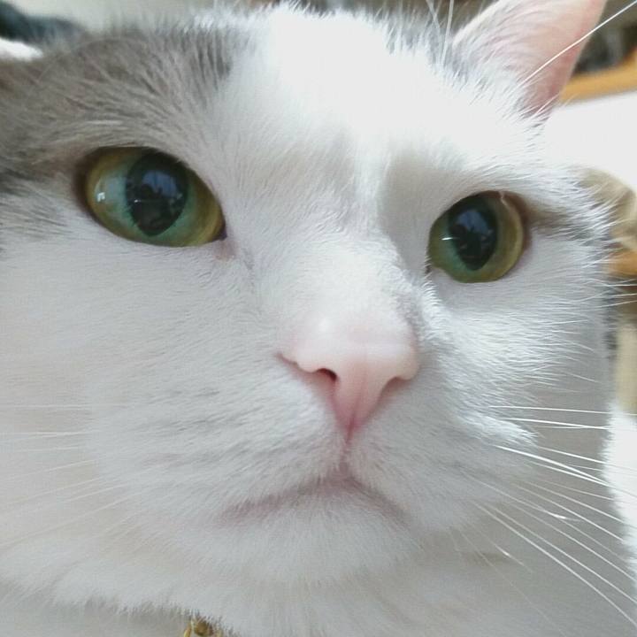 76d7e5ab 0bb4 45ec 926f ad1d376dec0b