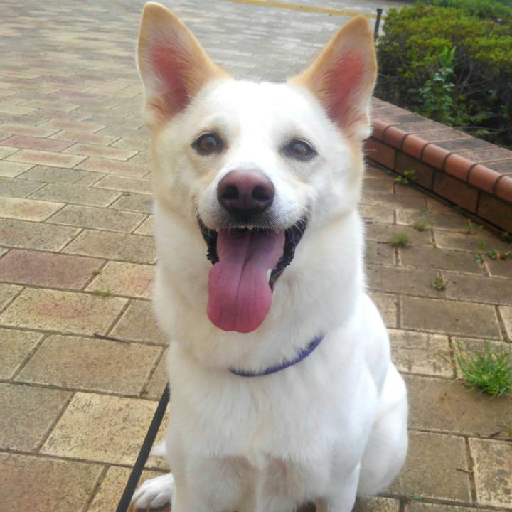 76d8090a 5977 4c99 896c f03585edced4