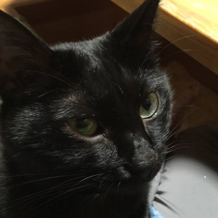 76d85466 c1bd 42a9 9def eb9e5c8ddb57