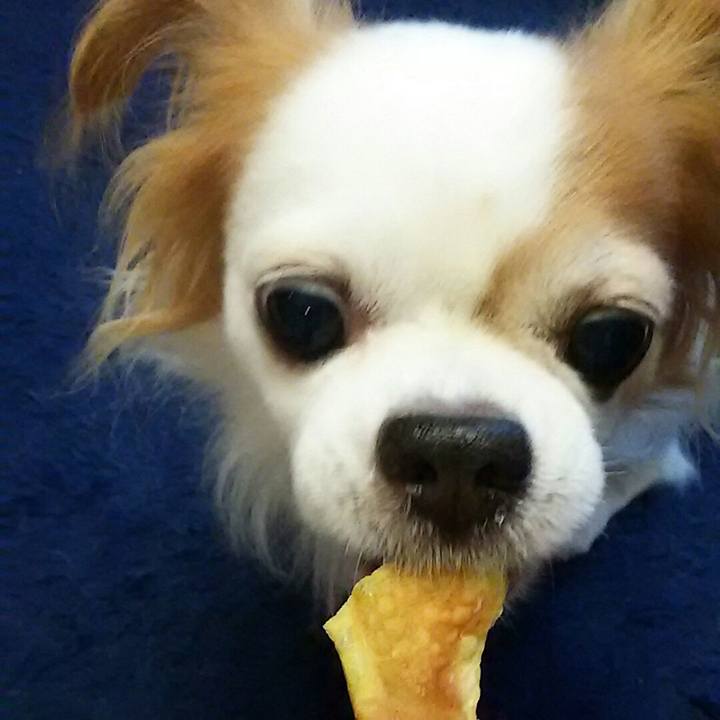 76d97270 52ba 4630 9f12 6b20772944a1