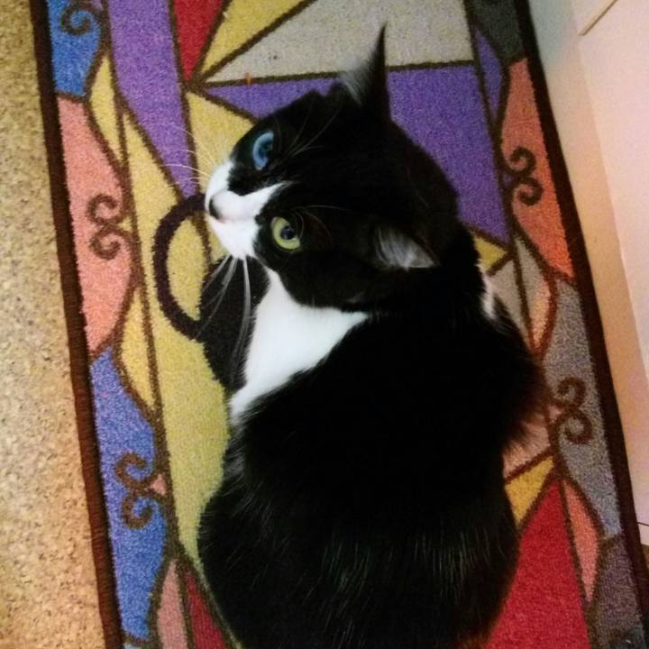 76d9b4cf 7627 4aaf 9267 d1ac77bf125c