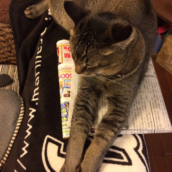 76da8dc7 af9b 4f3b 8f56 eb11a2b5b55e