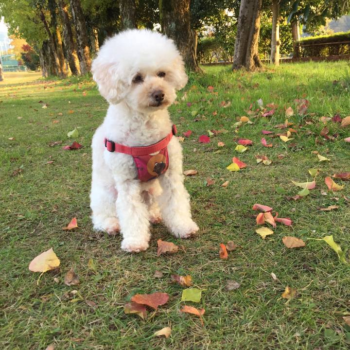 76dae6e4 945b 4f14 a47d f9586d1d3e4c