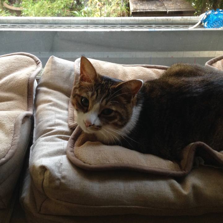 76db889a 2227 4b62 ad5c ab2cddd65821