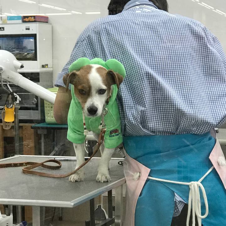 76db8cf7 c774 44d7 9003 cf7e9261fec2