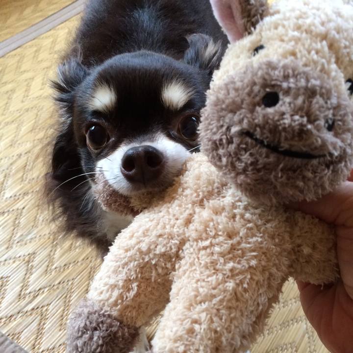 76dbdddd f1a6 442f 8f64 6beec1e9d8e1