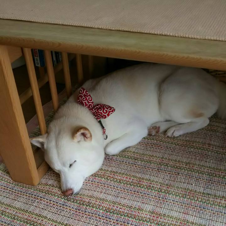 76dbedbd 2fdf 4f9e a703 4ae75383e997