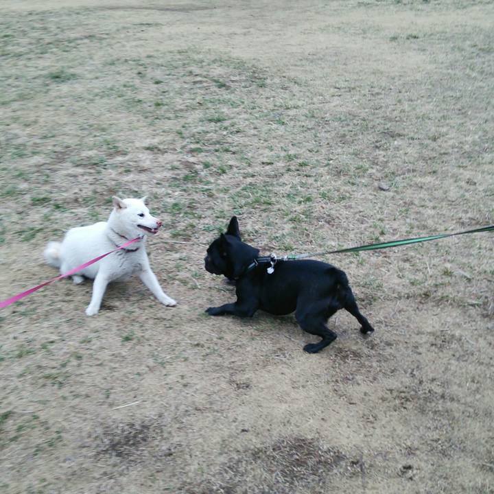 76dc2cb1 aaf5 41ab 8989 5b3dc608acbb