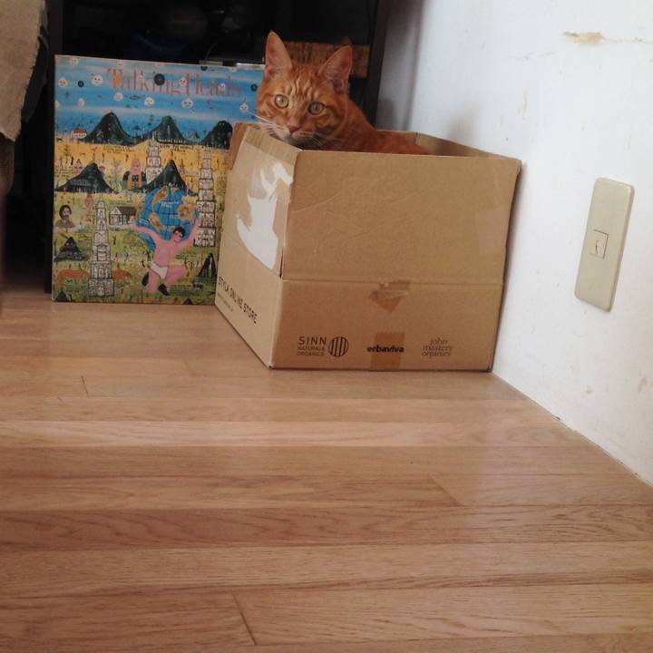 76dd14c3 aa34 4db0 9041 9ef7ea908ac5