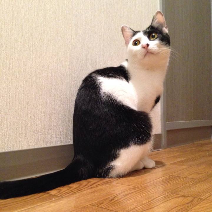 76dd5f2b 0f63 444a a924 3e7db447e410