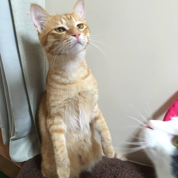 76dd970b fed0 4a65 87a2 7795e12a635c