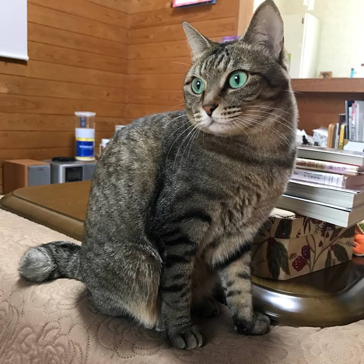 76def280 edac 441a 9cba ebb659fa0307