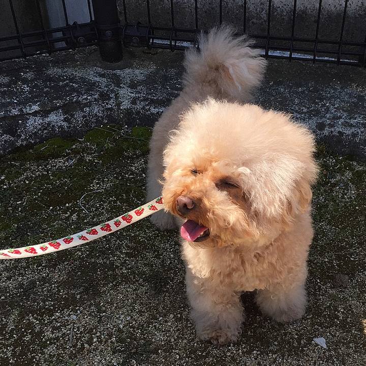 76df3f61 ec2b 4072 a9d8 e4bb5691e813