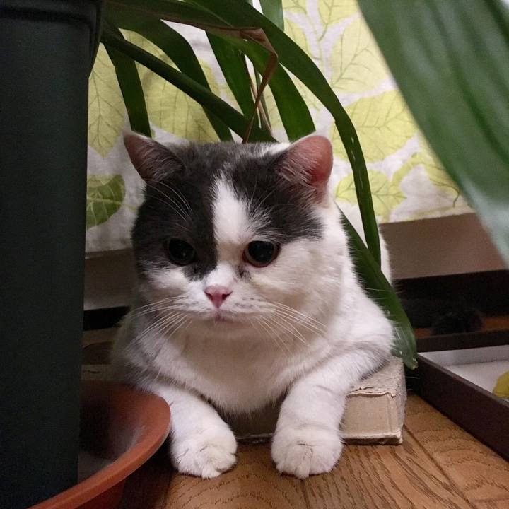 76df551c 193e 4f09 841a 0cbf2bf026a5