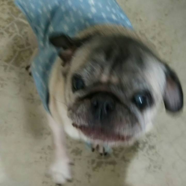 76df7f08 c574 4e0c 9fd2 75cc954997ae