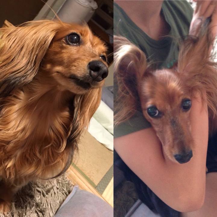 76e03dad 366a 464a b27e 840101e62ea8