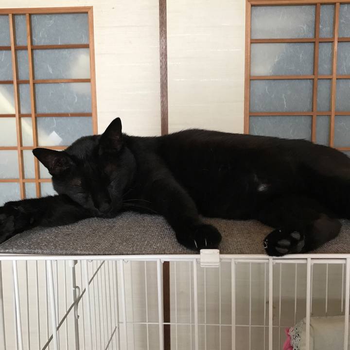 76e0532c 0d11 46e3 a370 9f3e85f1e6b3