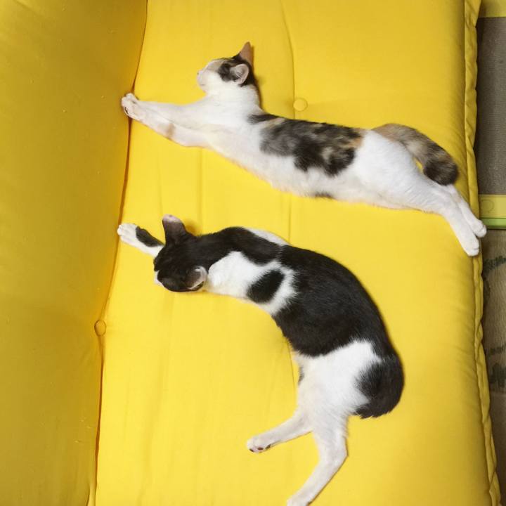 76e09799 4bce 4187 a359 5c3fee055ab3