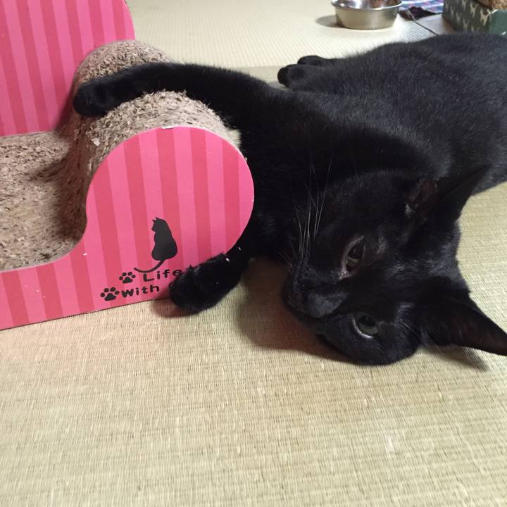 76e09ae3 6731 4806 8262 dbe46ba89cc3