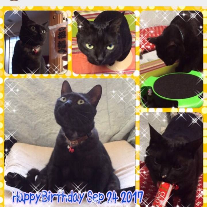 76e0ad62 e84c 4307 88a7 3914839b1f0f