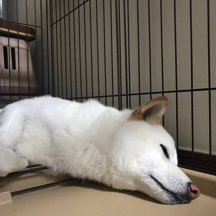 76e0b8b1 ddb0 4a45 b114 1845d46c5d97