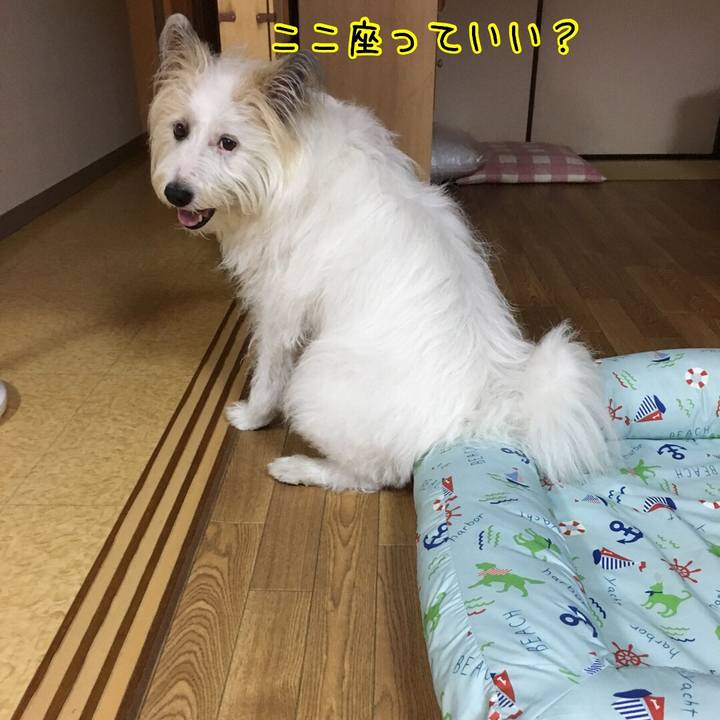 76e0c820 b690 444e b5ac 9fffdc52b13a