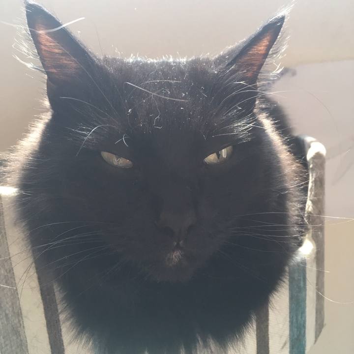 76e113d1 4b11 4734 8062 60fa73e1f812