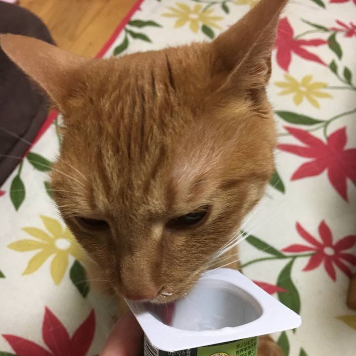 76e1f815 c323 45c8 ac6c 8451da995cf1