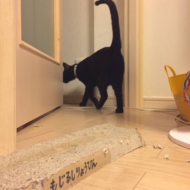 76e23bf8 0d3c 4d90 91f2 1aa2d807c726