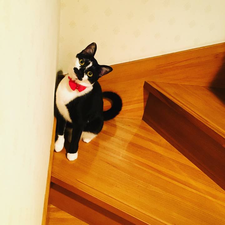 76e29f73 0772 4c37 80fd 1f4cee4ed53c