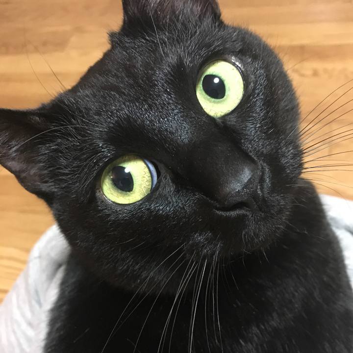 76e300c9 9d39 43b0 b682 9110aaefa74f