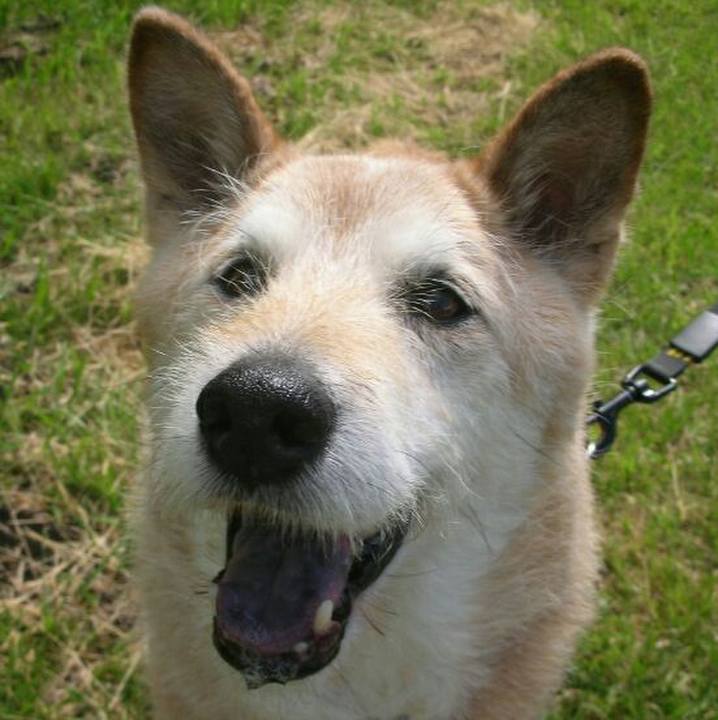 76e40a52 b121 4442 ad74 2f280f758761