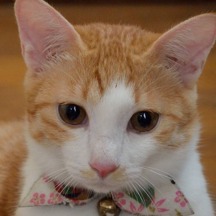 76e418c3 7c5f 4109 8d98 ba4255c4b993