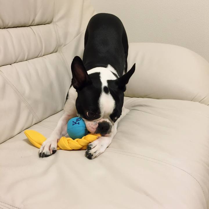 76e5053b 92e7 43a6 a038 eb16ba2a320f