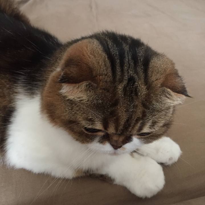 76e51fb8 207b 4a4b a95c e6edbc8cc767