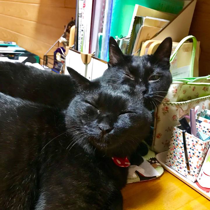 76e57821 6424 4f1f 89e2 144a1738666c