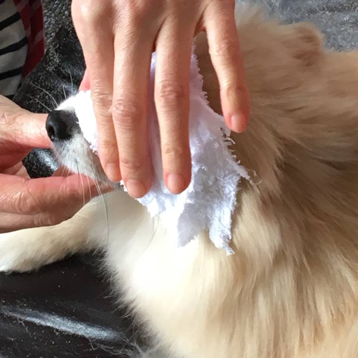 76e5e307 8553 45ef a134 12050763099a