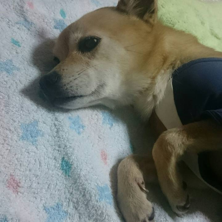 76e5f169 8489 4313 9b5e 8f7fdc1fb78d