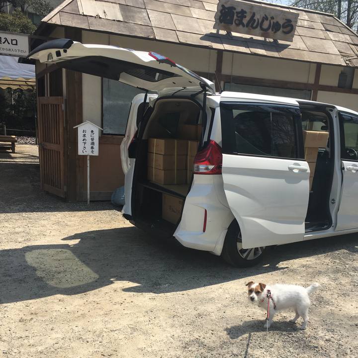 76e6254c 8c0a 449a 8bd0 8222000e63a6