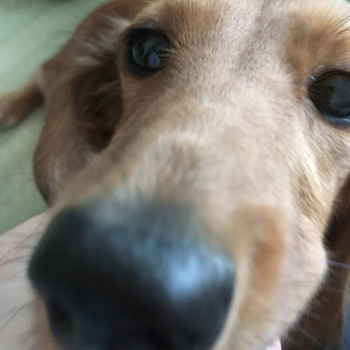 76e762b1 f06b 4658 b319 6139824bef29