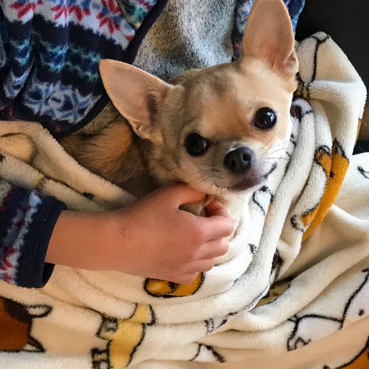 76e7f51a 9a2a 4054 a353 e0fffb9c1242