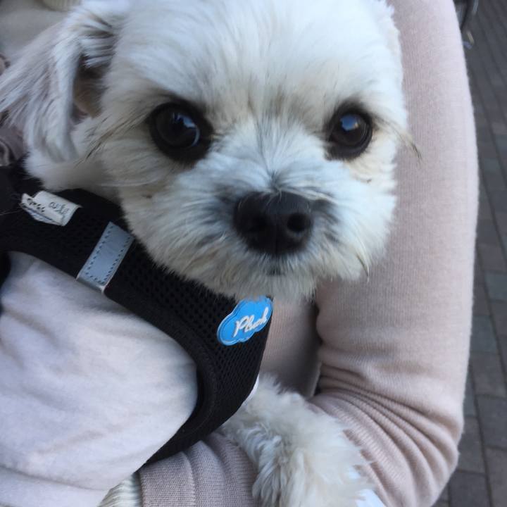 76e8905d 1f26 4ea7 8d26 fb8dbe2468f6