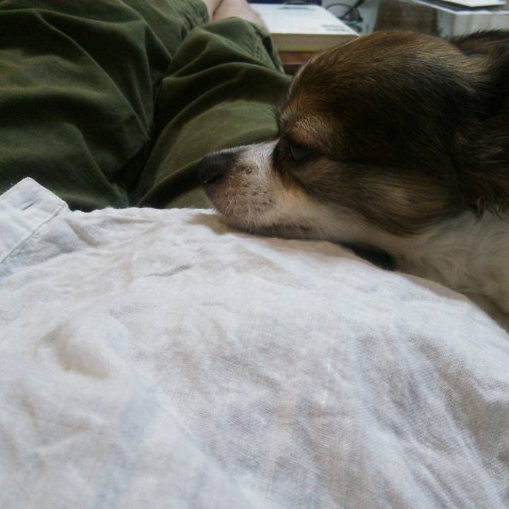 76e89441 4315 4bc8 b4e6 9e130a0fb177