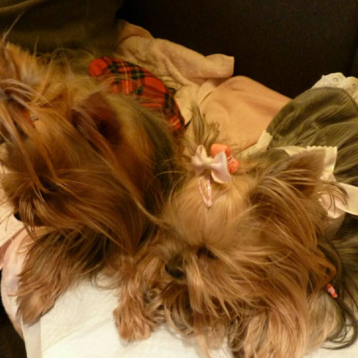 76e8d5cc 4d6c 46a4 89be 2a8ef767df81