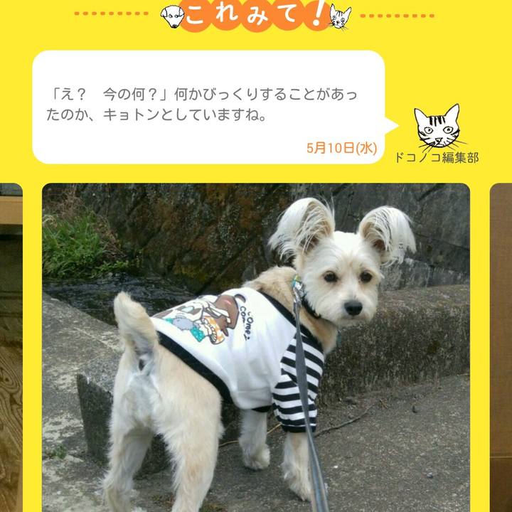 76e92e61 2fc9 4531 897d 00485a5a75a2