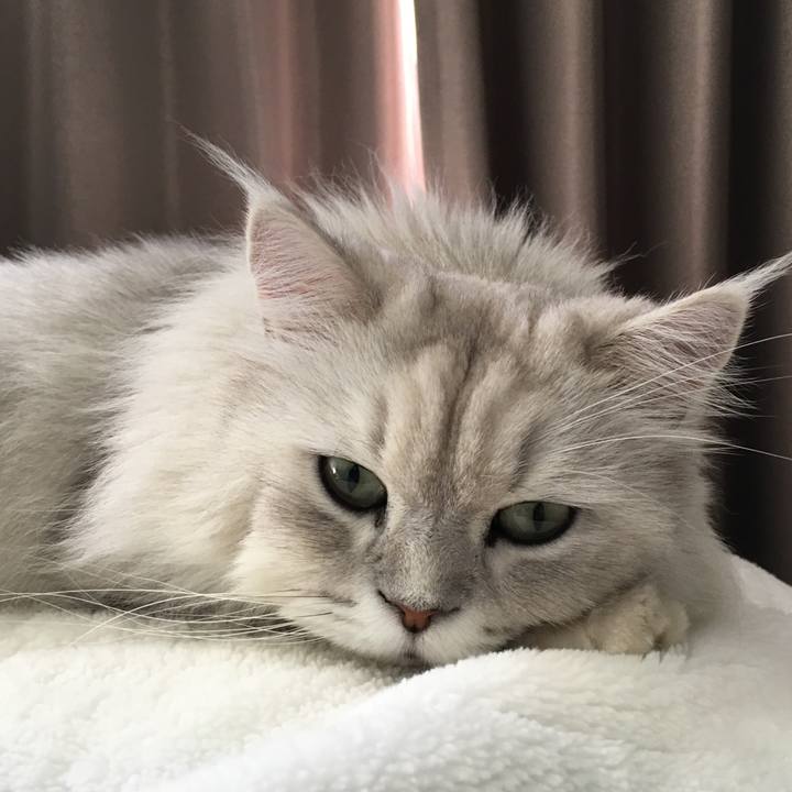 76e9e90d e004 41e1 999b 954856dd4b30