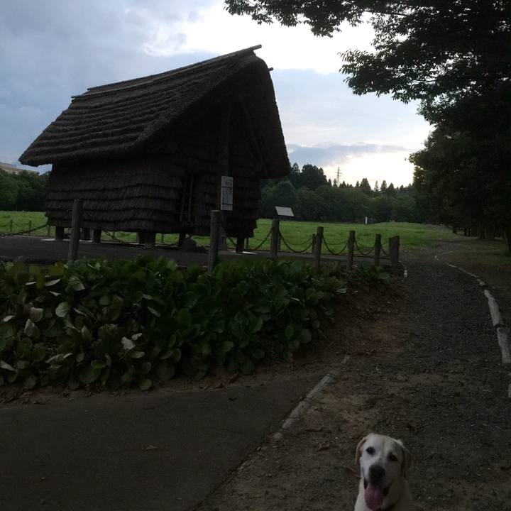 76eaaeb6 72f1 4e43 8b60 ec40c0310f1d