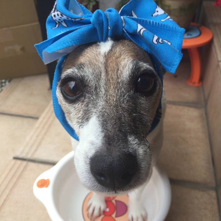 76eba5d4 a36f 4eb0 9aa4 dbbe00d3af54