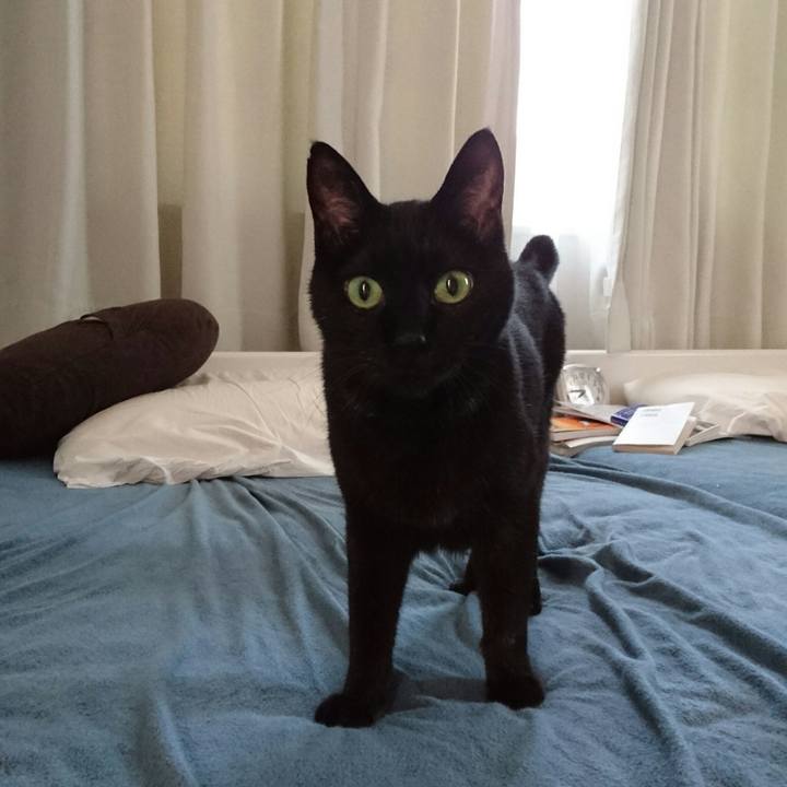 76ec5dec 2a84 4db1 9903 22e994b50046