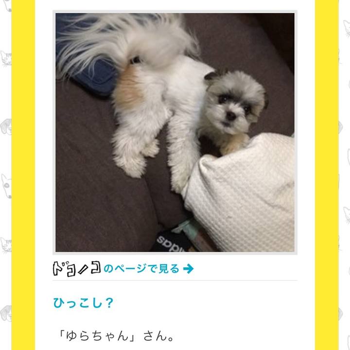 76ed06d2 860d 4d8c 89aa da481afa2d49